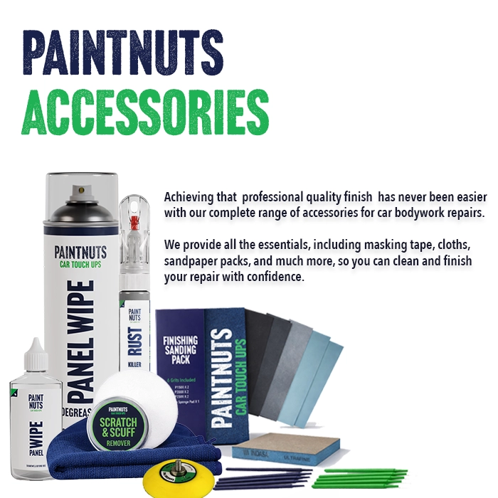 PaintNuts Rust Killer 2 in 1 Pen